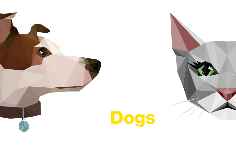 amazing dogs &cats