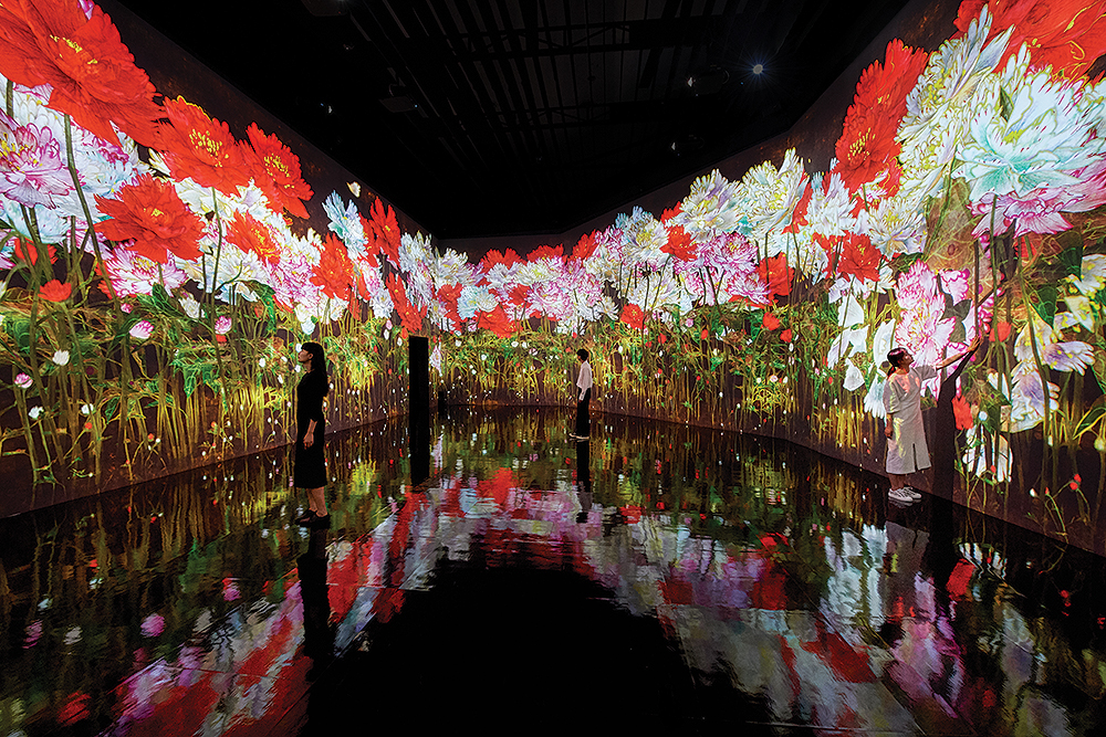 teamLab, Proliferating Immense Life Ⓒ teamLab 