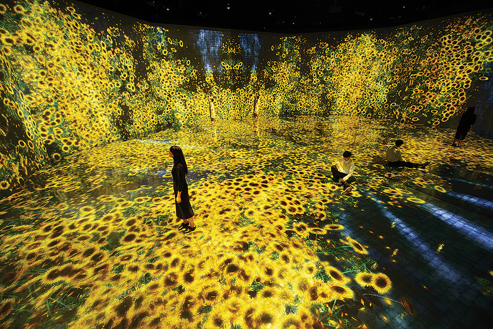 teamLab, Flowers and People, Cannot be Controlled but Live Together - Transcending Boundaries, A Whole Year per Hours Ⓒ teamLab 